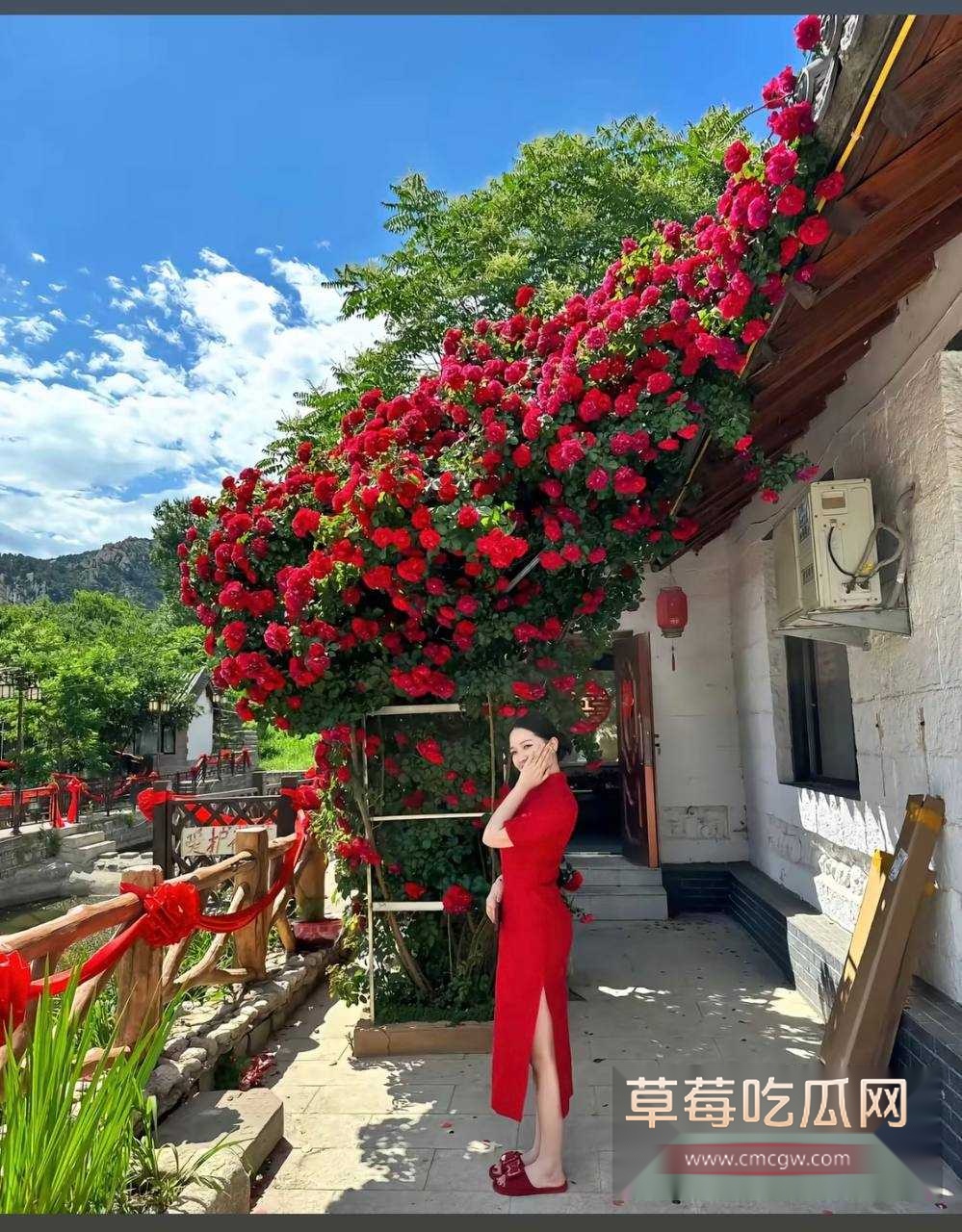 赵瑾一24.jpg 赵瑾一24.jpg