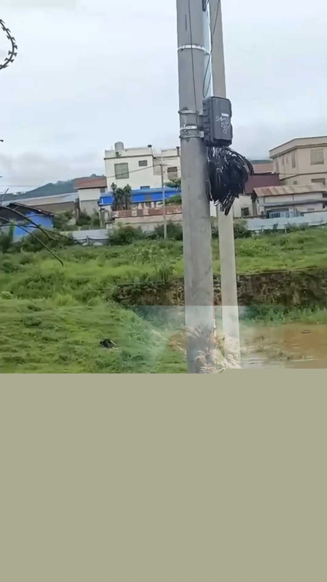 偷东西被枪射杀 3 偷东西被枪射杀 3