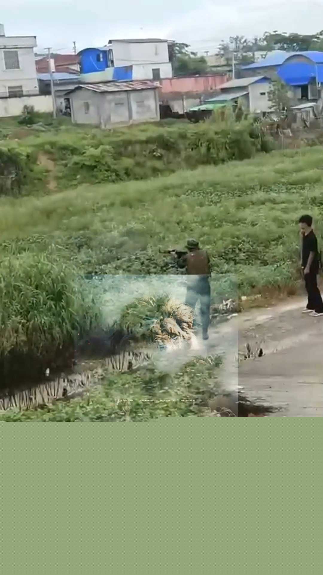 偷东西被枪射杀 1 偷东西被枪射杀 1