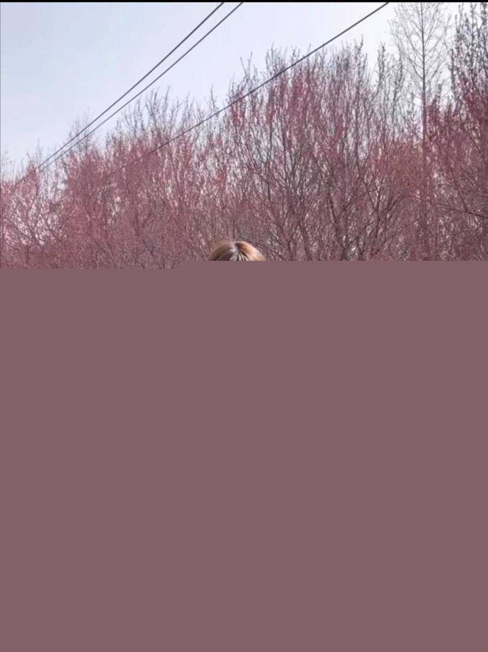 抖音白盼雪5.jpg 抖音白盼雪5.jpg
