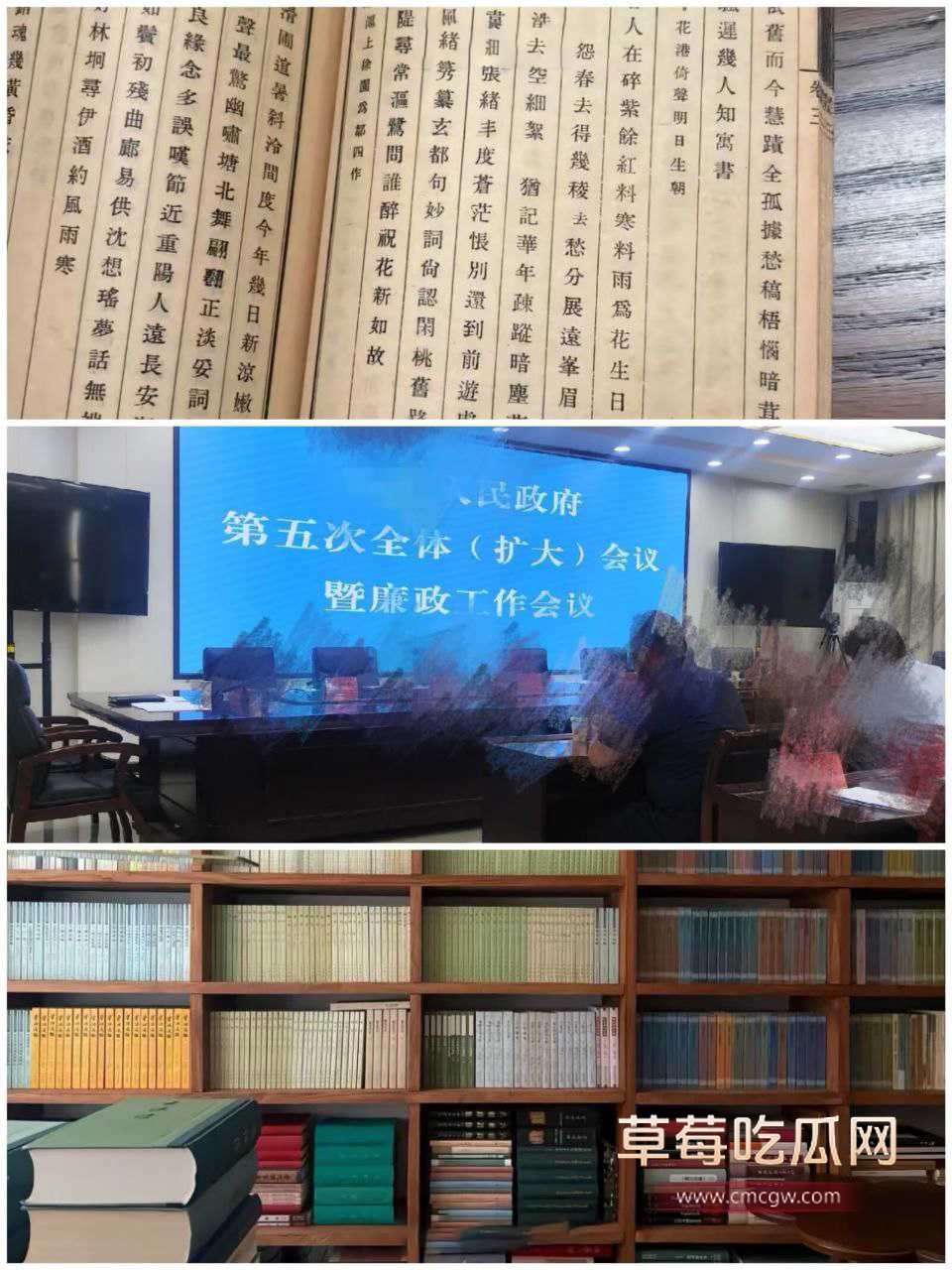 遵义市绿奴公务员20 遵义市绿奴公务员20