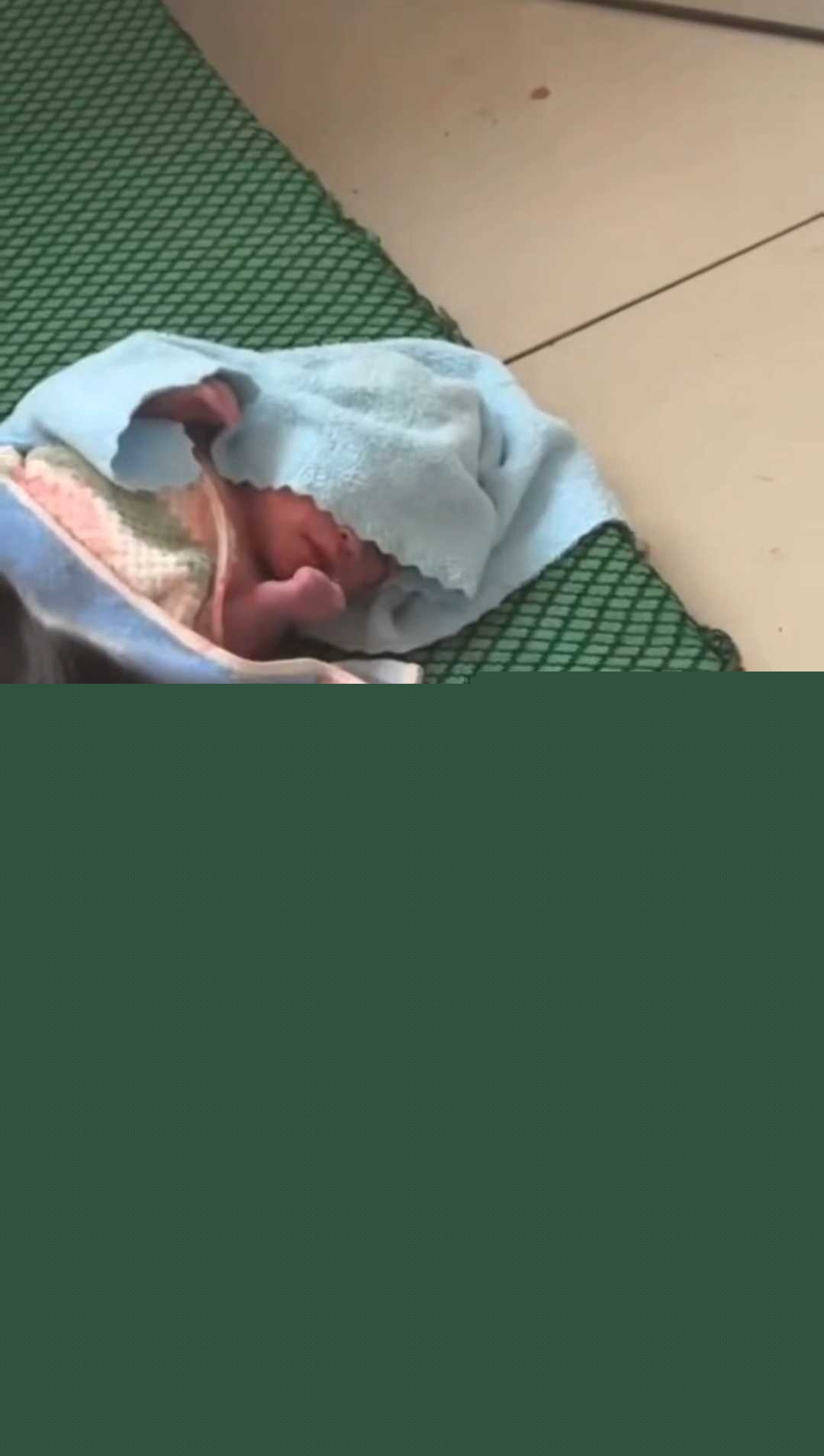 厕所生小孩 3 厕所生小孩 3