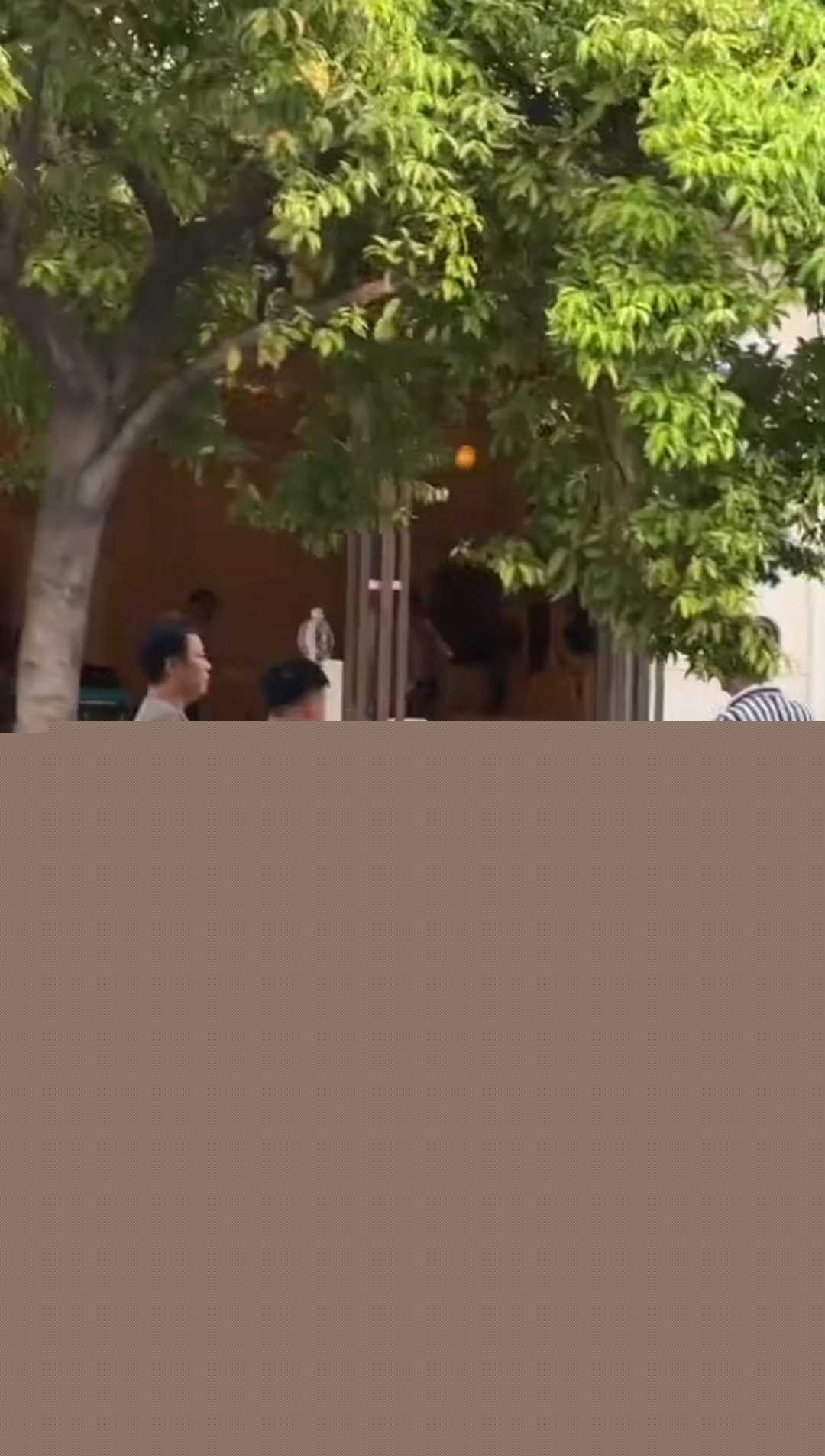 打飞机也能死 2 打飞机也能死 2