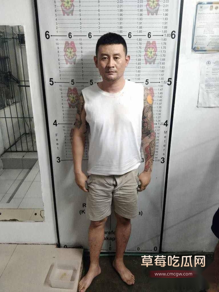 胡杨 胡杨