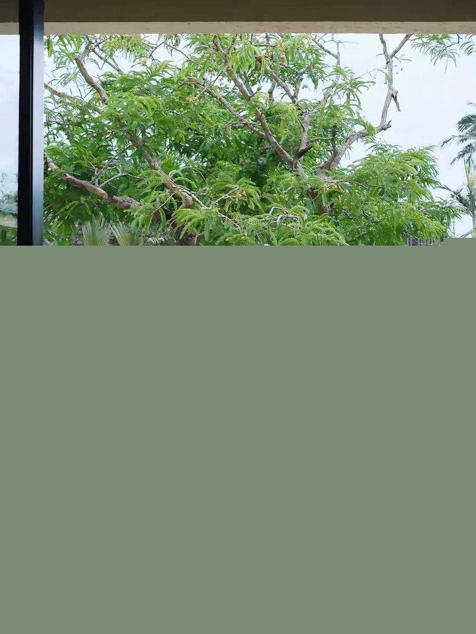 少林寺住持释永信36.jpg 少林寺住持释永信36.jpg
