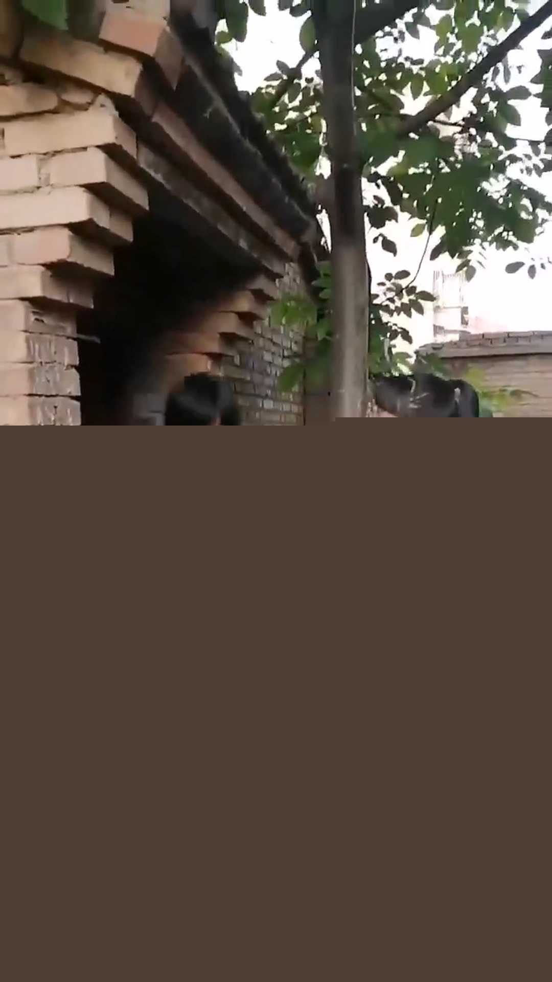 甘肃艺考播音统考第一名霸凌视频 3 甘肃艺考播音统考第一名霸凌视频 3
