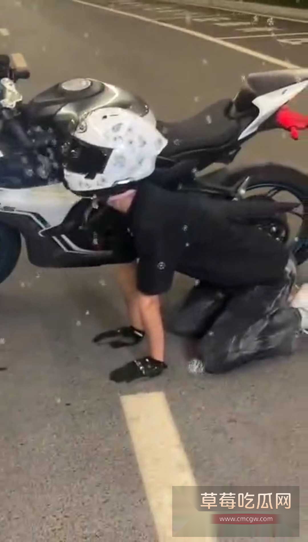骑春风当狗 3