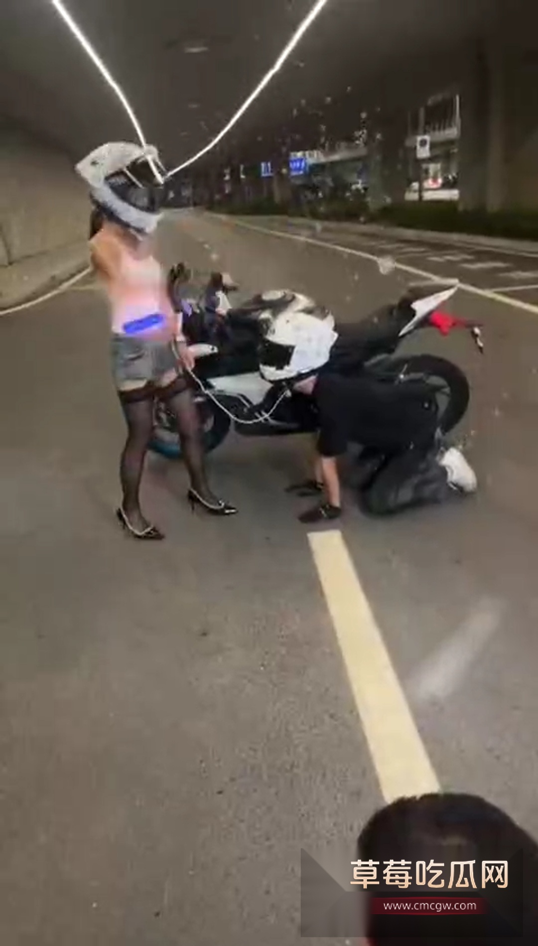 骑春风当狗 5