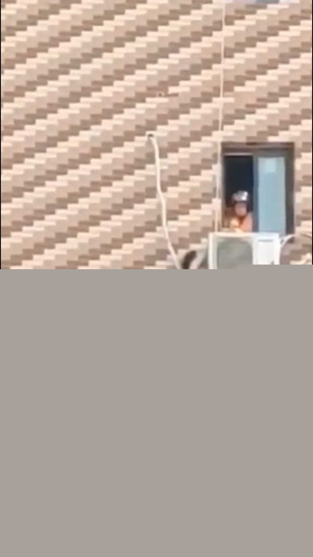 6 6