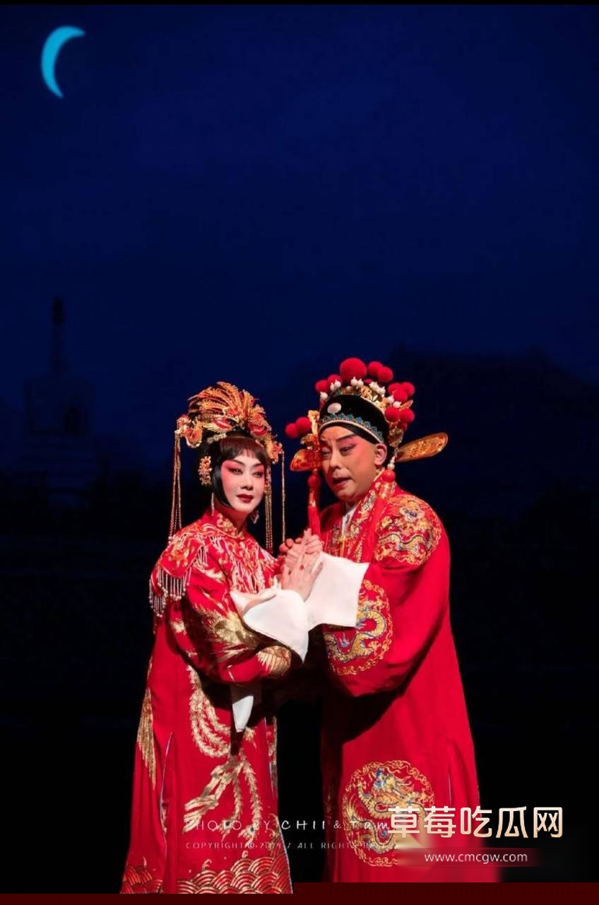 国家一级演员京剧第一美人李胜素22 国家一级演员京剧第一美人李胜素22