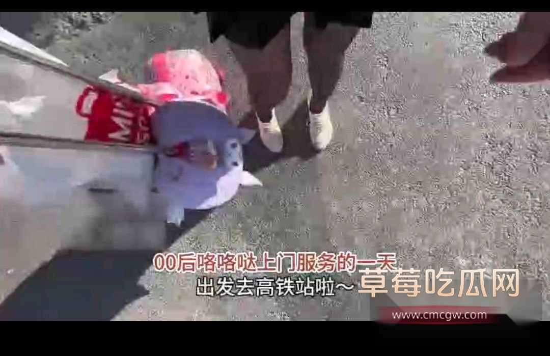 真实记录当鸡的一天 还有人说鸡容易吗 4 真实记录当鸡的一天 还有人说鸡容易吗 4
