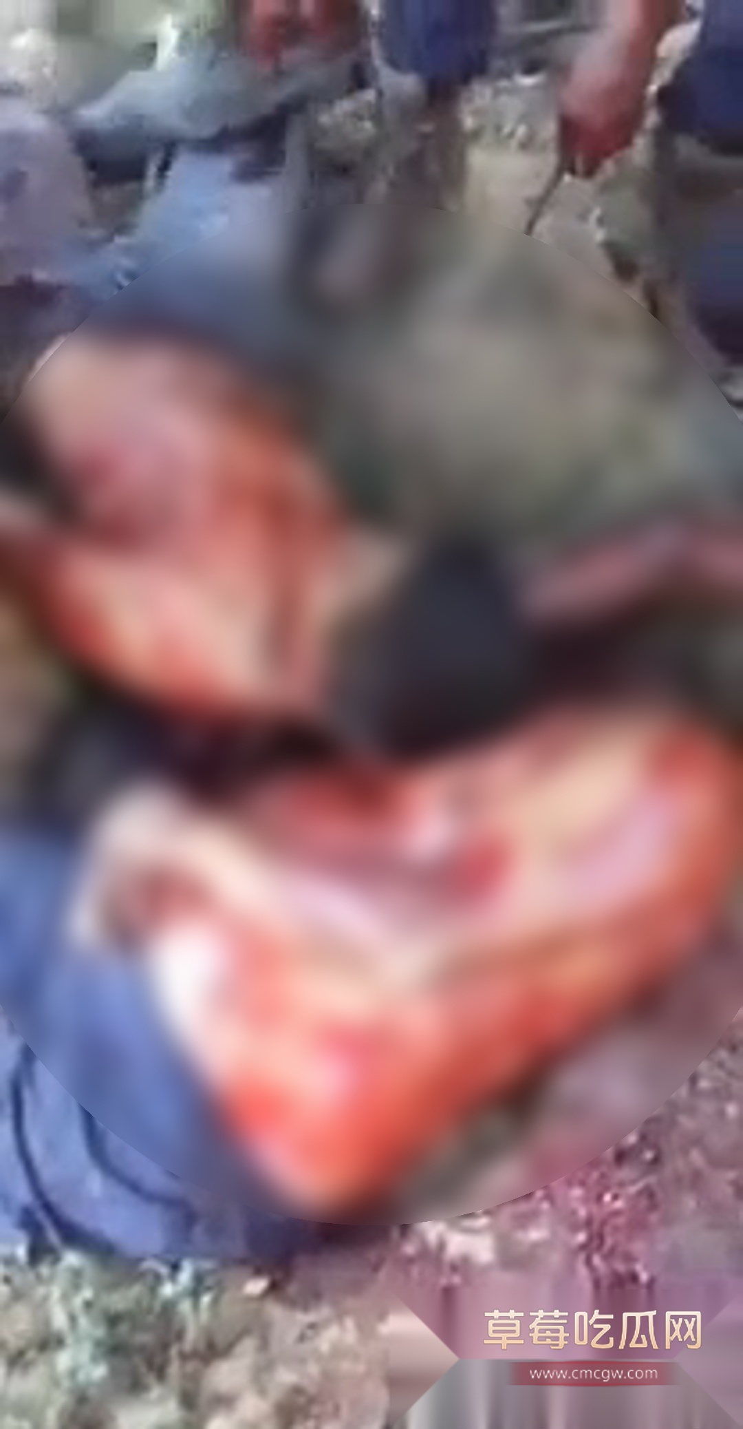 墨西哥墨西哥父子火龙果毒枭 5 墨西哥墨西哥父子火龙果毒枭 5