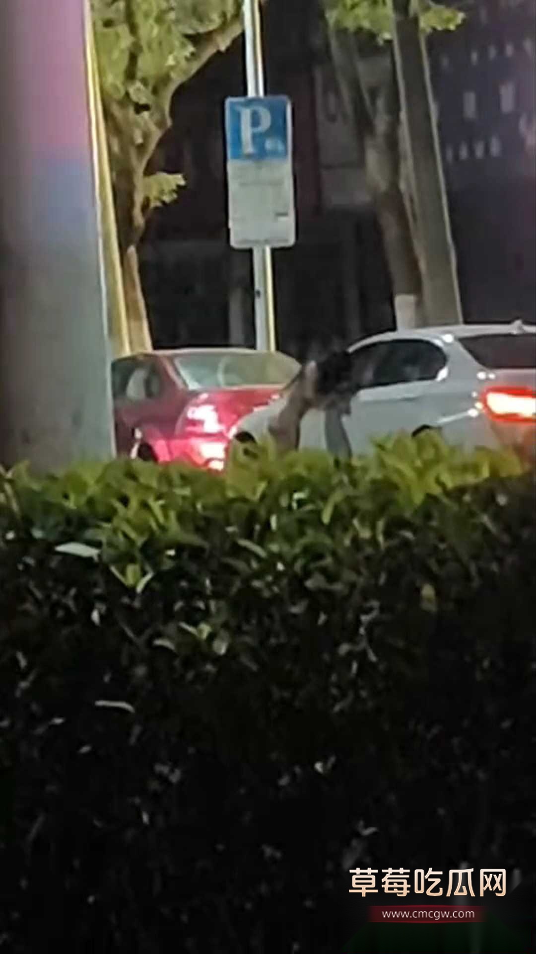 一言不合就脱衣服的小仙女 3 一言不合就脱衣服的小仙女 3