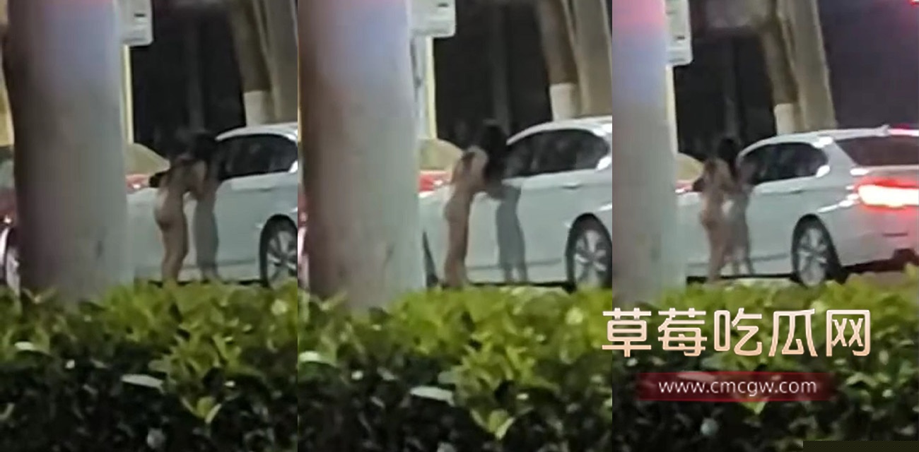 小仙女.jpg