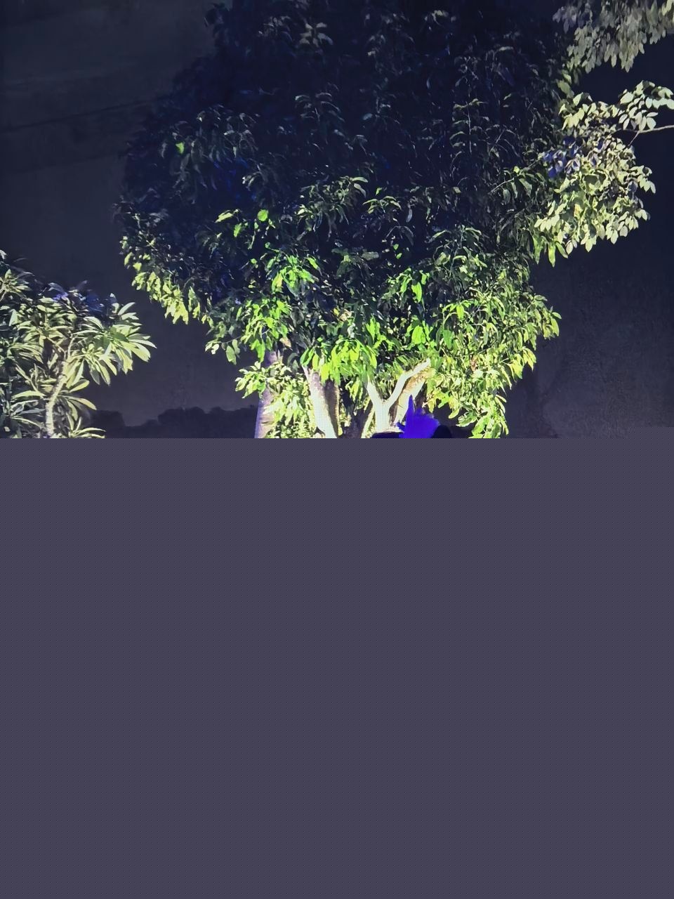 广东湛江性感富婆包养壮年小伙 19 广东湛江性感富婆包养壮年小伙 19