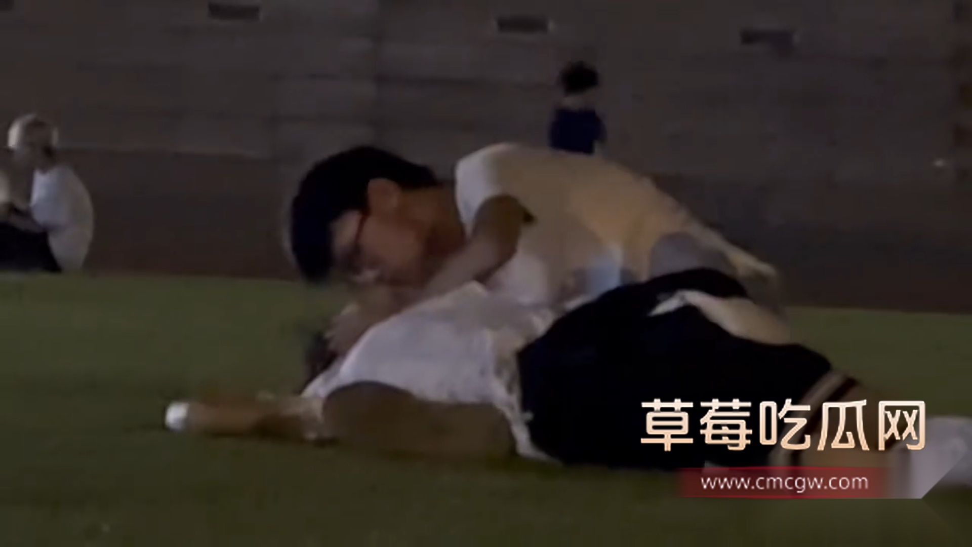 一对小情侣在草坪 4 一对小情侣在草坪 4