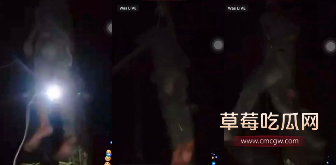 上吊自杀.jpg 上吊自杀.jpg