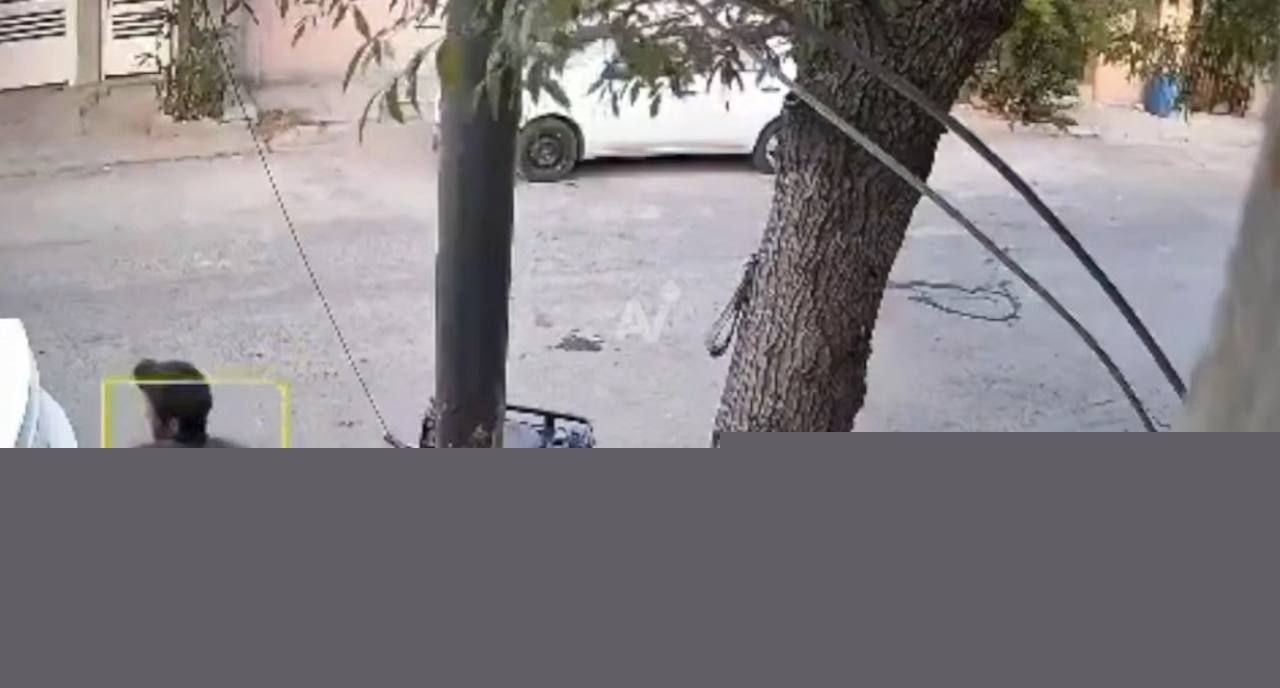 墨西哥枪杀事件2 墨西哥枪杀事件2