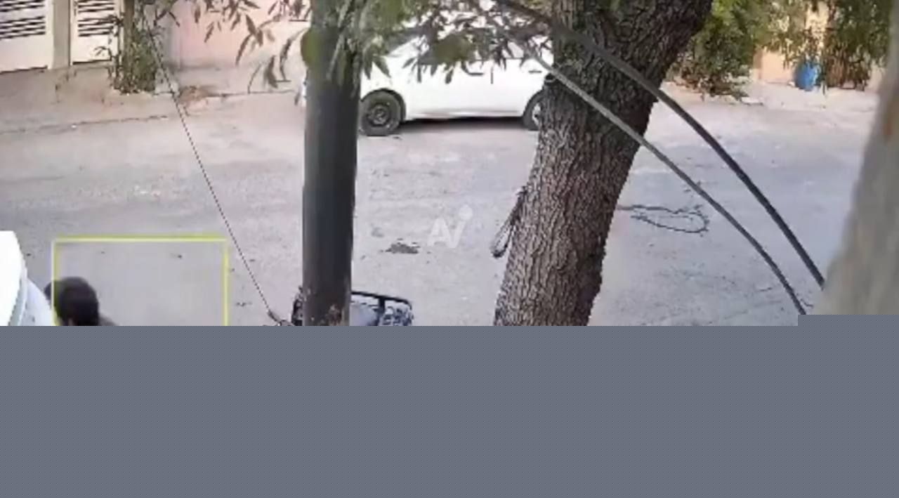 墨西哥枪杀事件4 墨西哥枪杀事件4