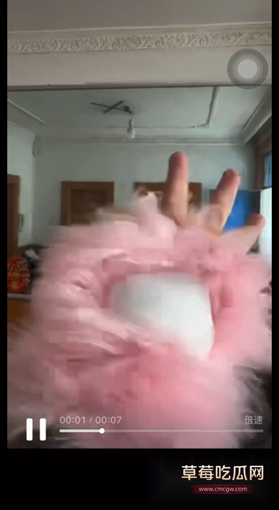 极端女权圈里的重量级神兽 4 极端女权圈里的重量级神兽 4