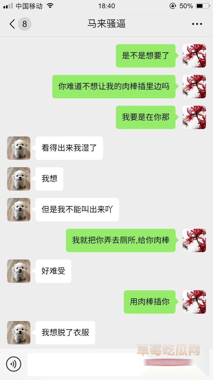 马来西亚小母狗9 马来西亚小母狗9