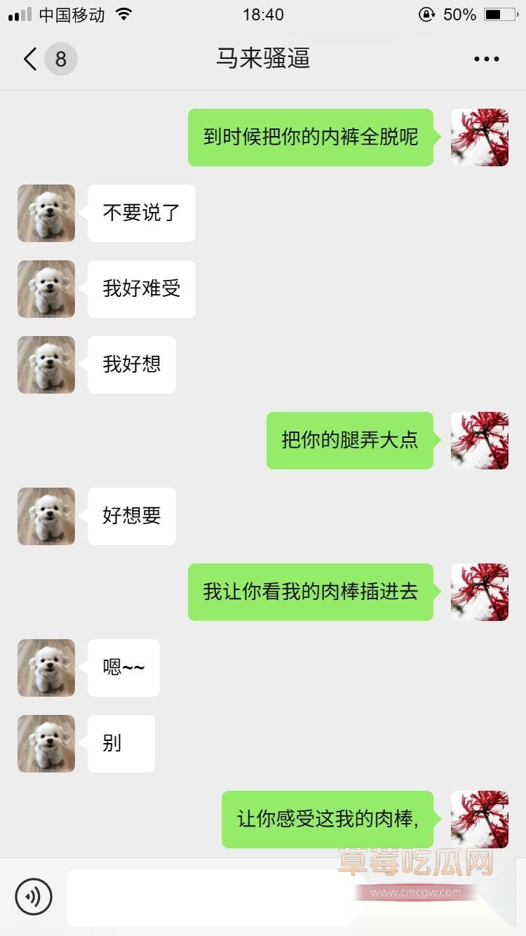 马来西亚小母狗13 马来西亚小母狗13