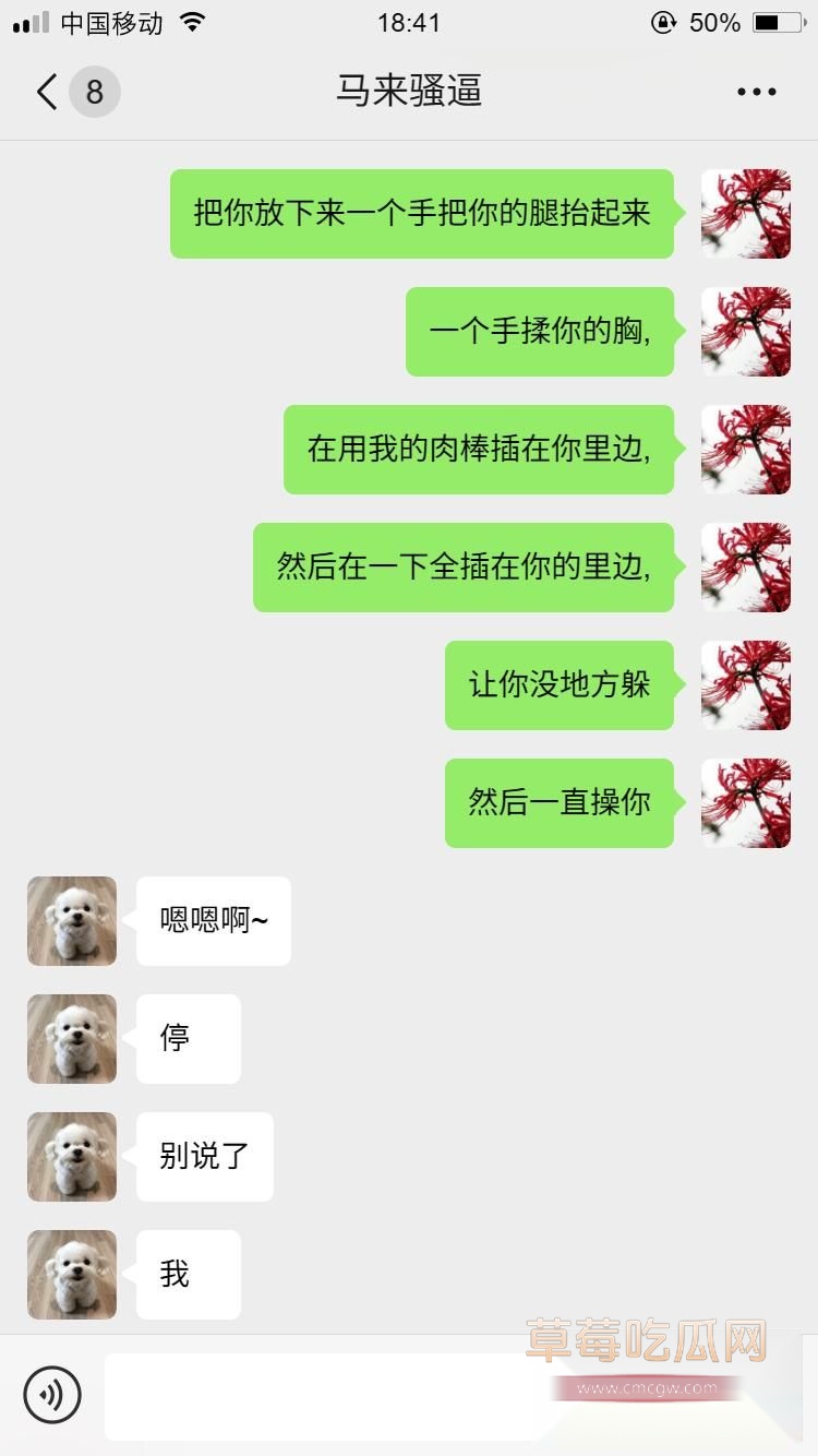 马来西亚小母狗15 马来西亚小母狗15