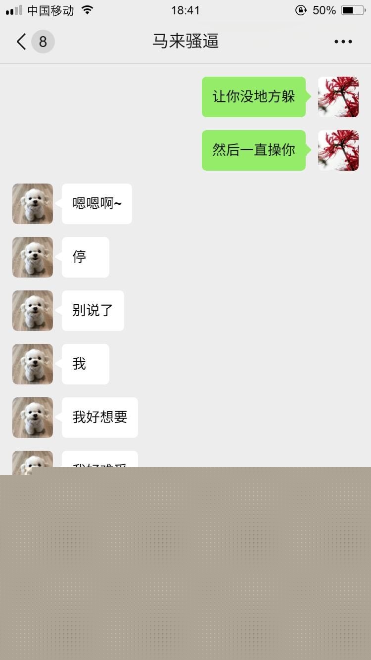 马来西亚小母狗16 马来西亚小母狗16