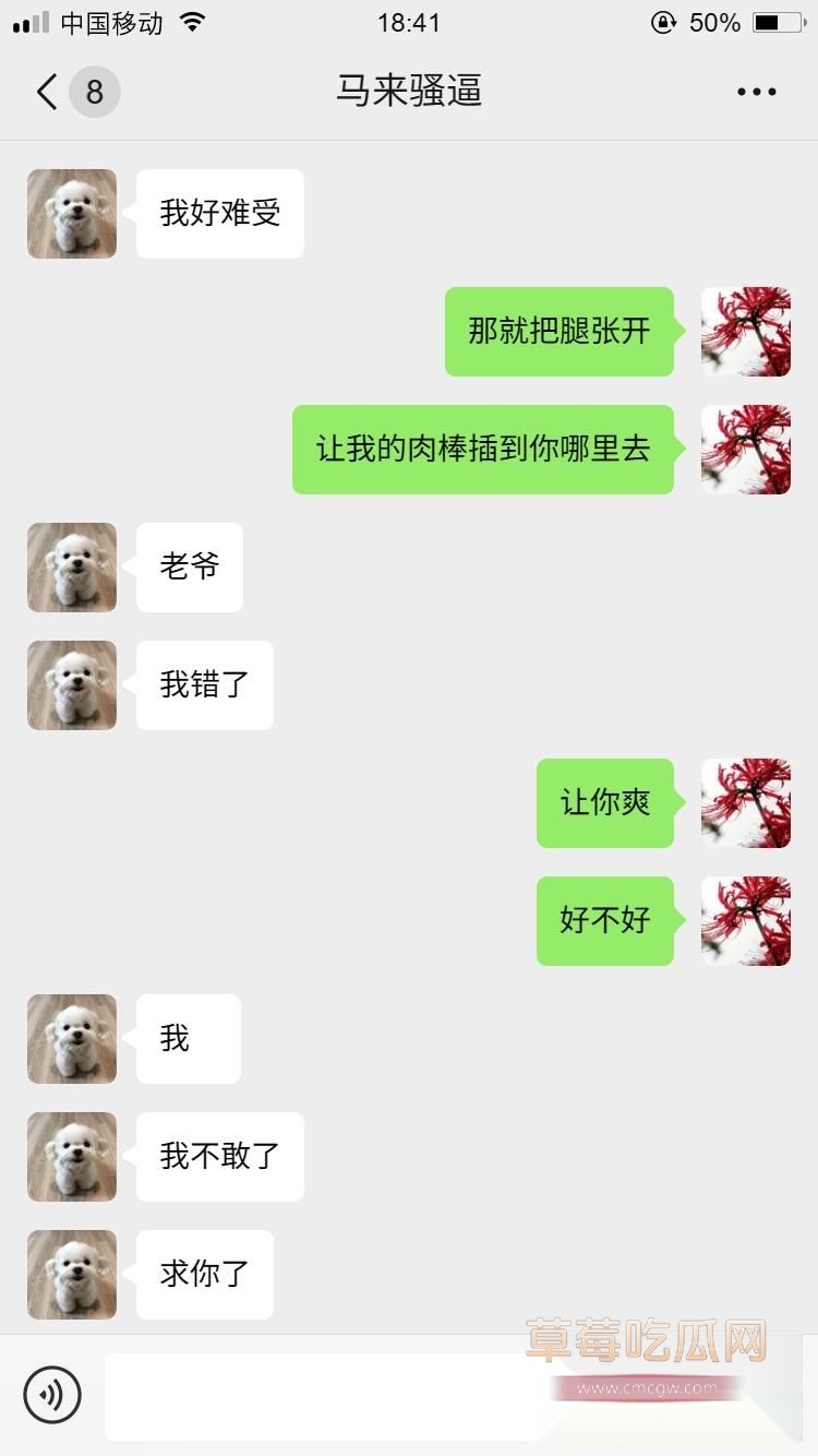 马来西亚小母狗17 马来西亚小母狗17