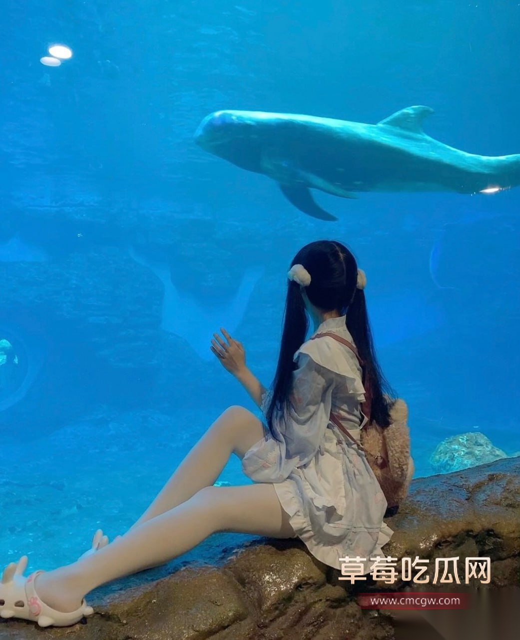 高颜超可爱少萝小月喵 19 高颜超可爱少萝小月喵 19