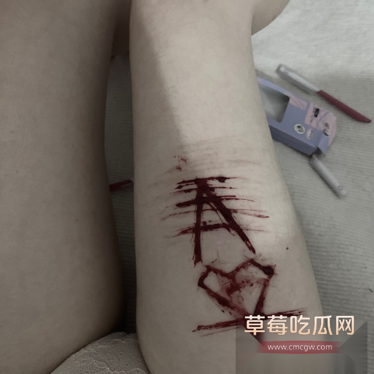 地雷西萝莉女友28.jpg