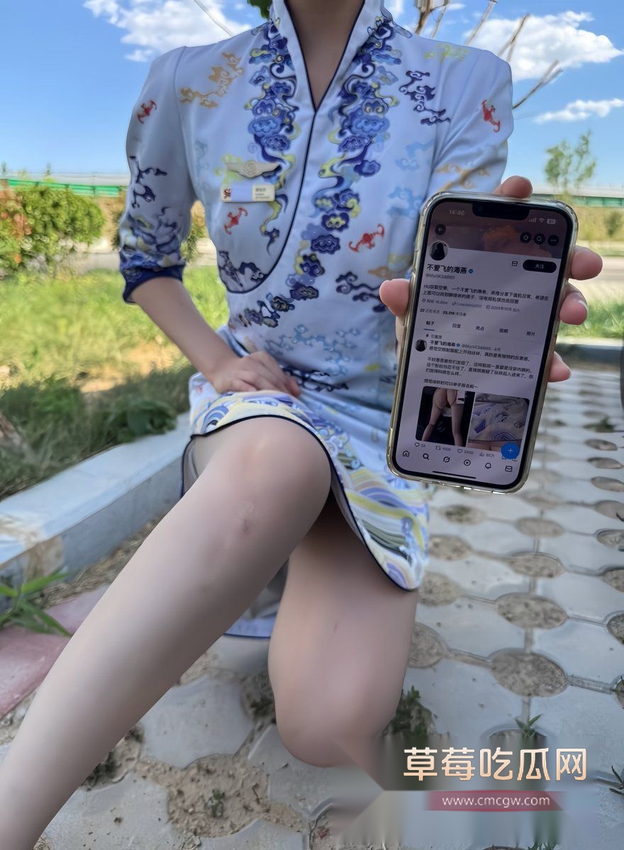 性感空姐 不爱飞的海燕7 性感空姐 不爱飞的海燕7