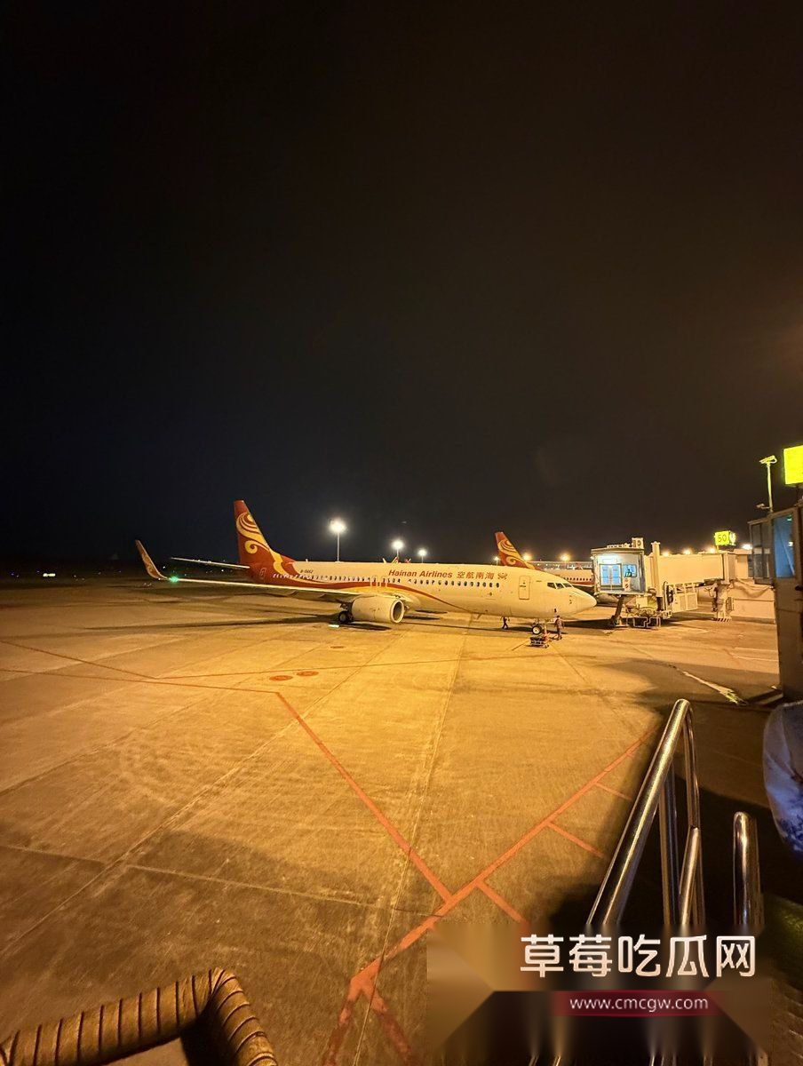 性感空姐 不爱飞的海燕14 性感空姐 不爱飞的海燕14