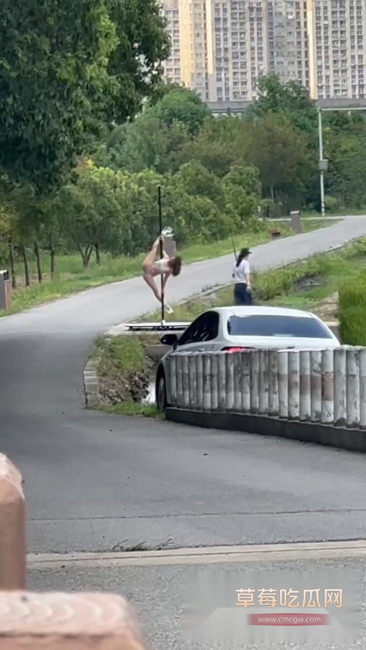 钢管舞女神户外开秀4 钢管舞女神户外开秀4