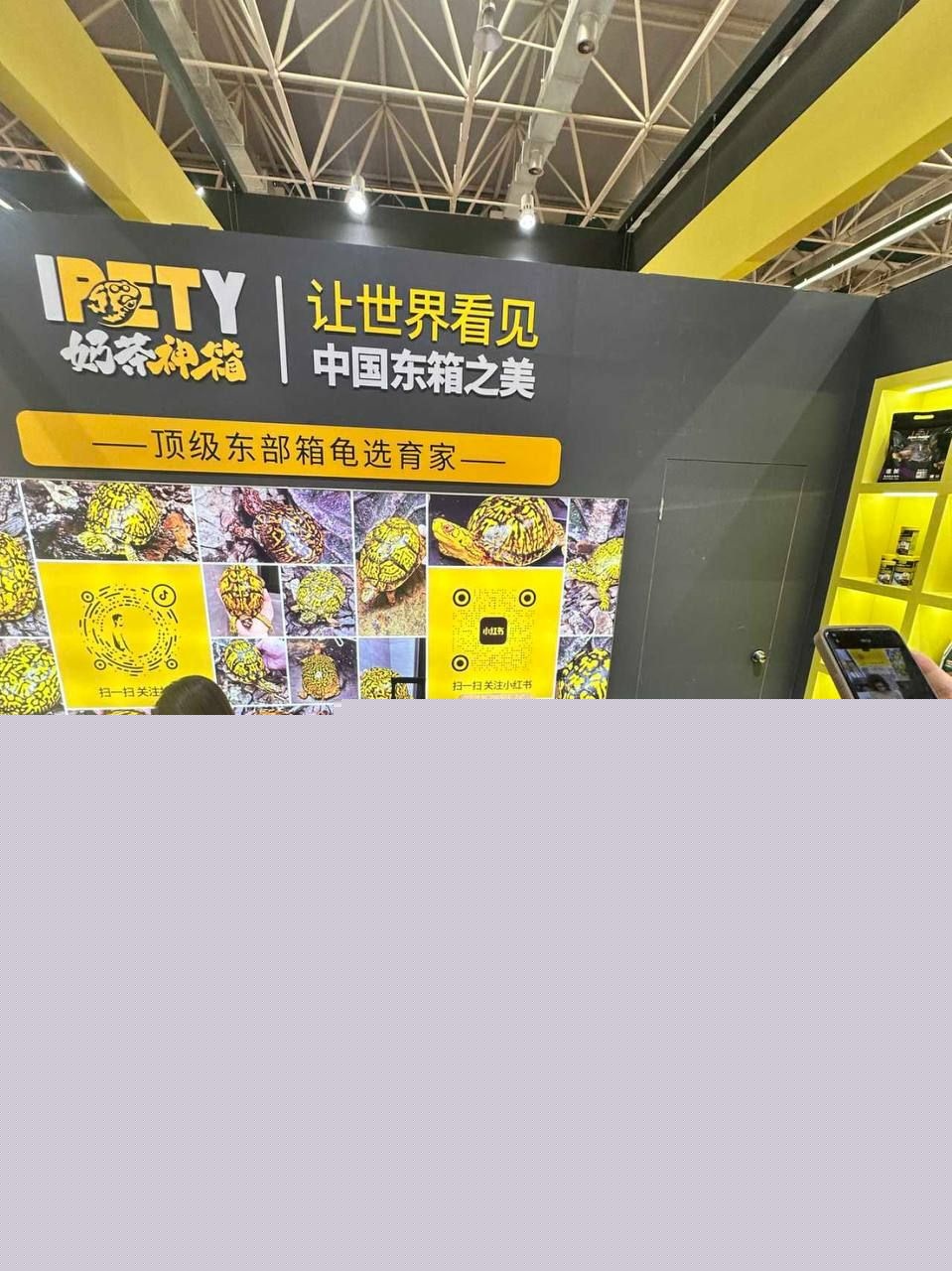 广东顺德世界名龟展3 广东顺德世界名龟展3