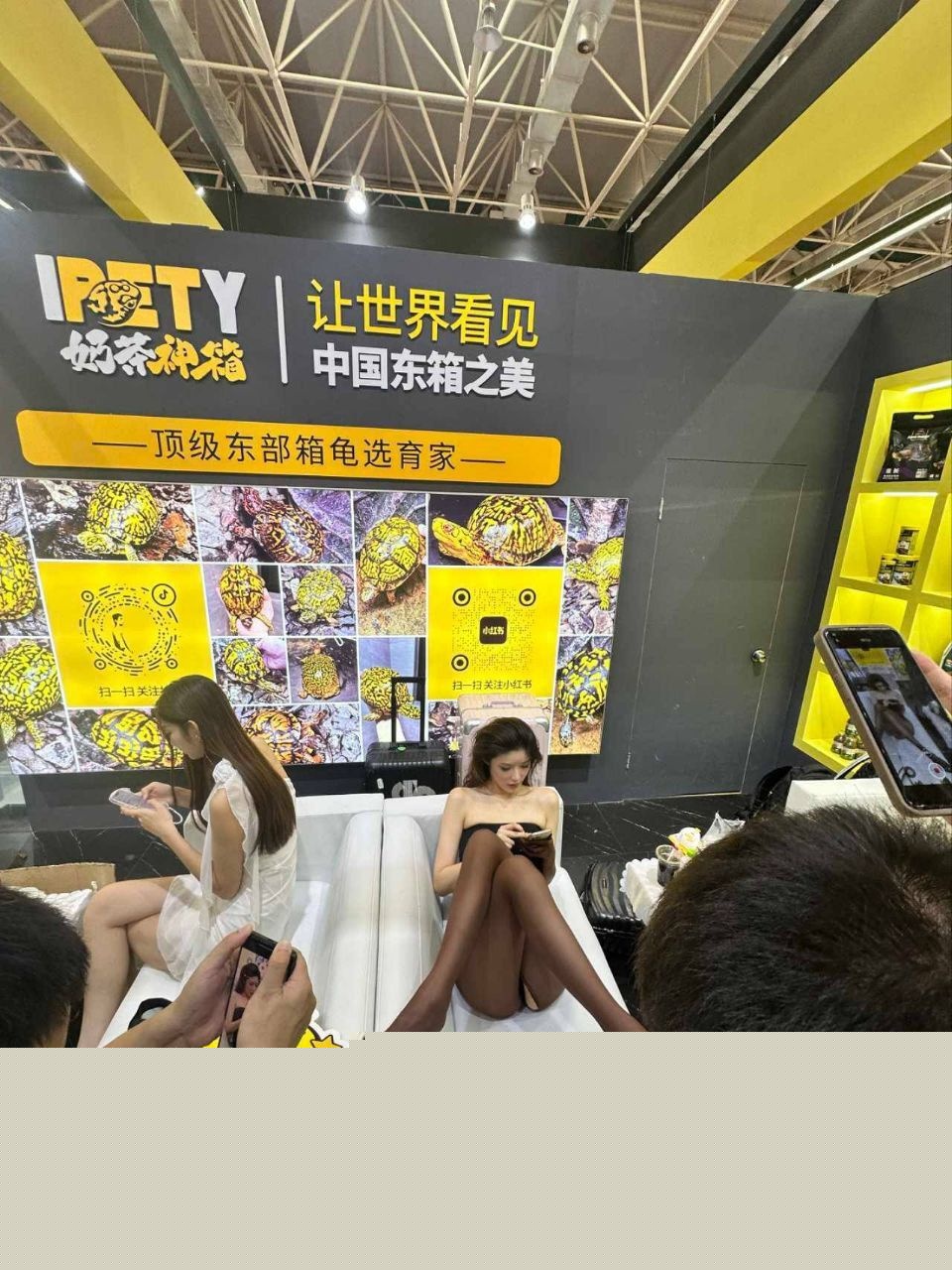 广东顺德世界名龟展11 广东顺德世界名龟展11