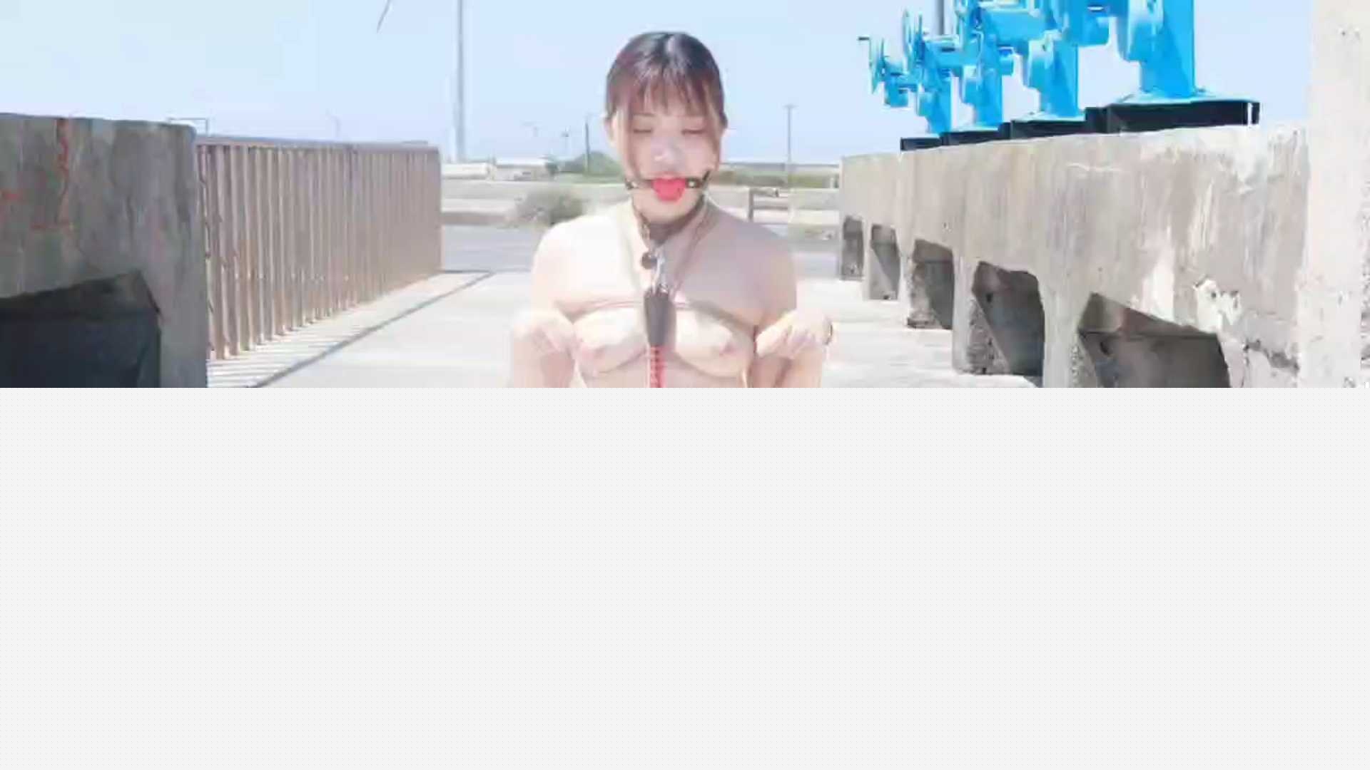 极品小母狗露出婊 11