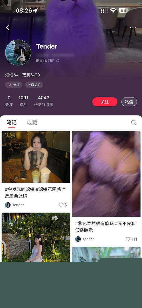 Tender与大哥聊骚记录2