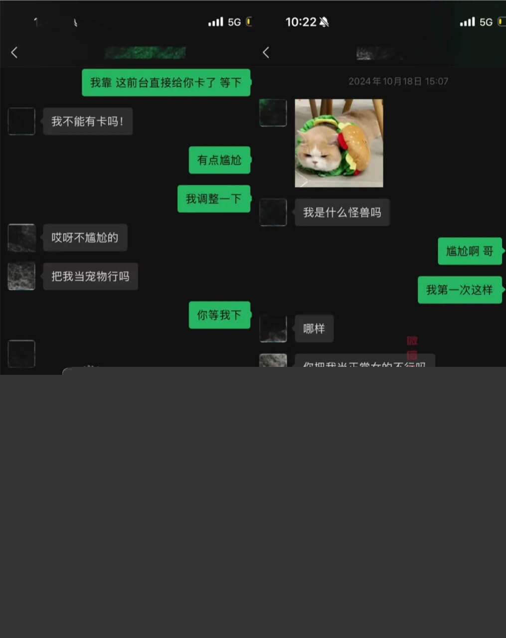 金主合小鸢饱的聊天记录1.jpg