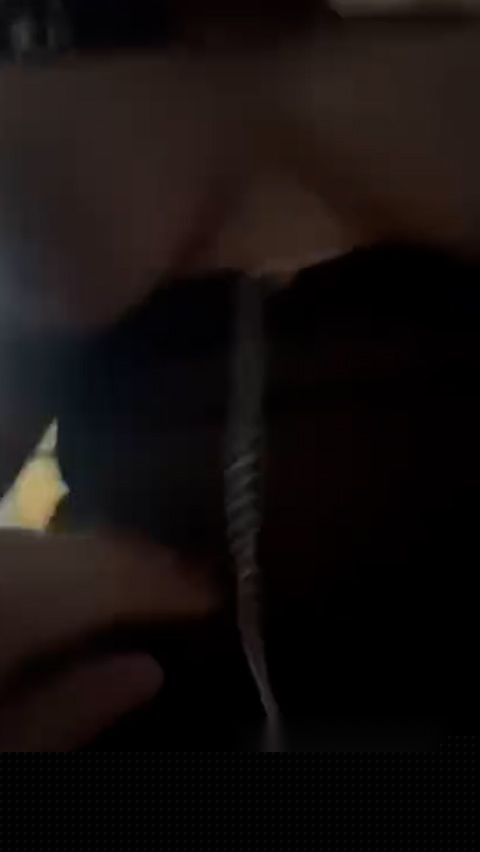 抖音两只猫5 抖音两只猫5