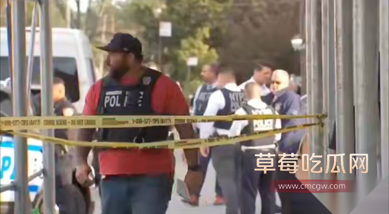 美国纽约华人区杀人纵火案 10 美国纽约华人区杀人纵火案 10