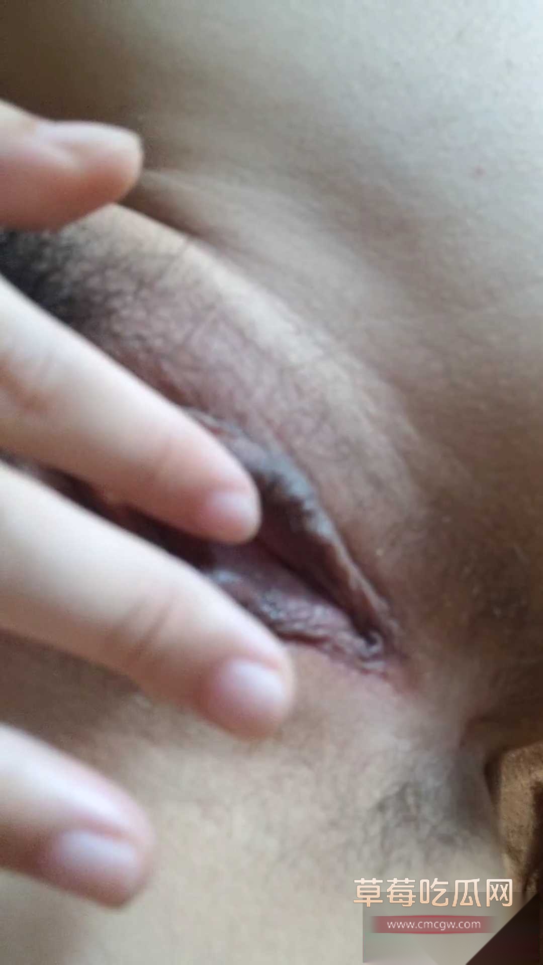 4 4