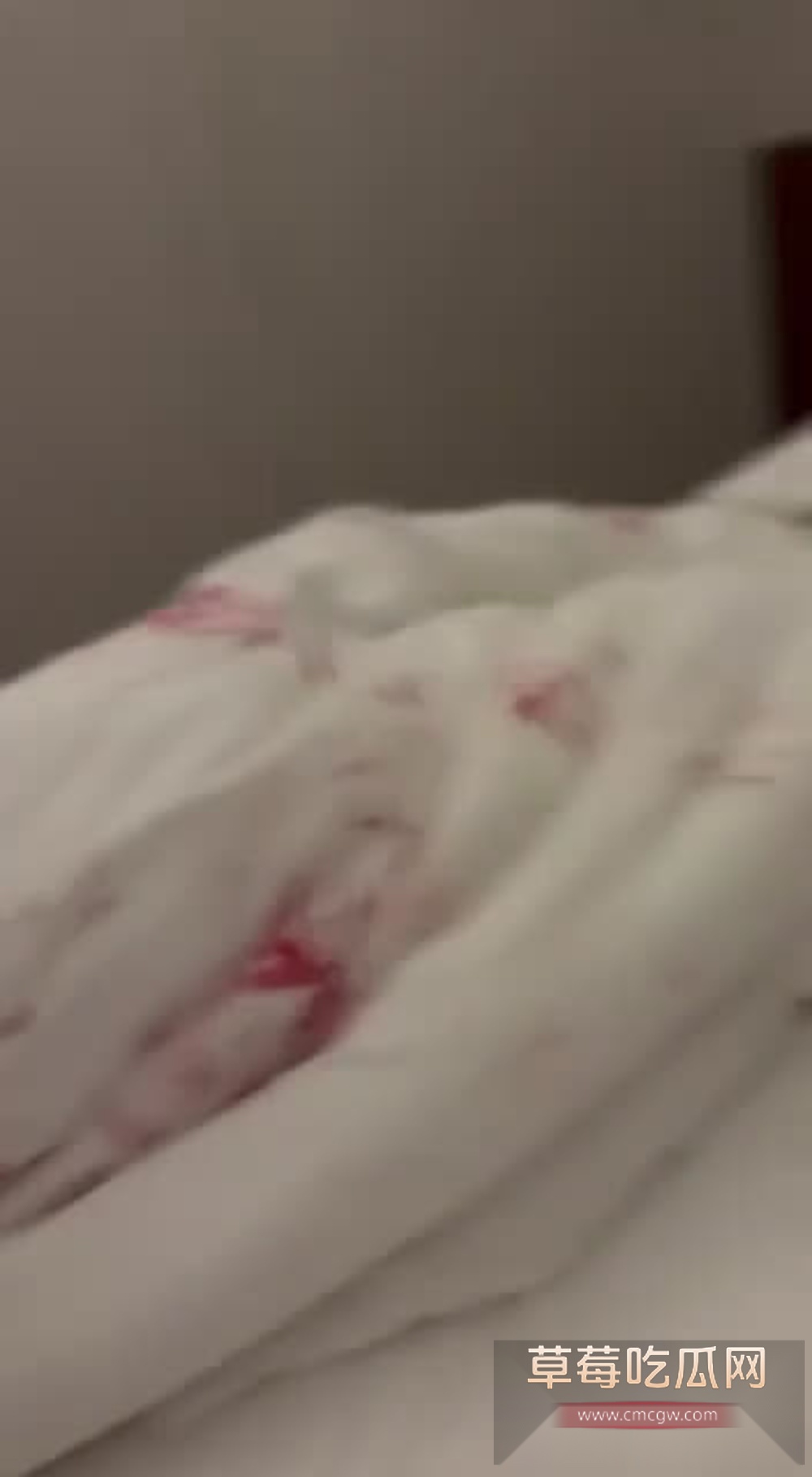 video202510141751400002