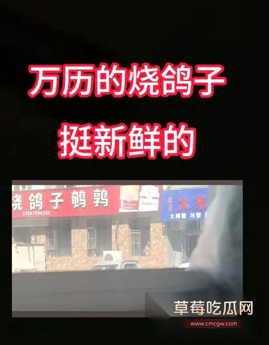 长白山万历烧鸽子鹌鹑3 长白山万历烧鸽子鹌鹑3
