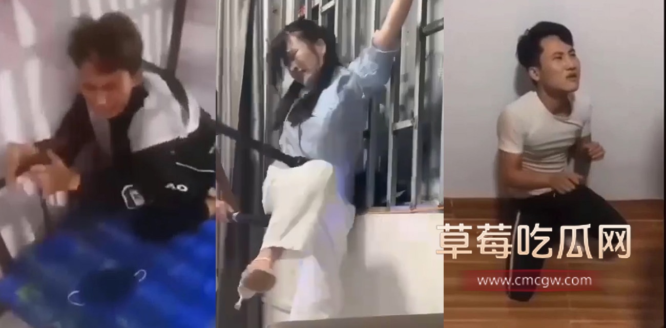 猪仔.jpg 猪仔.jpg