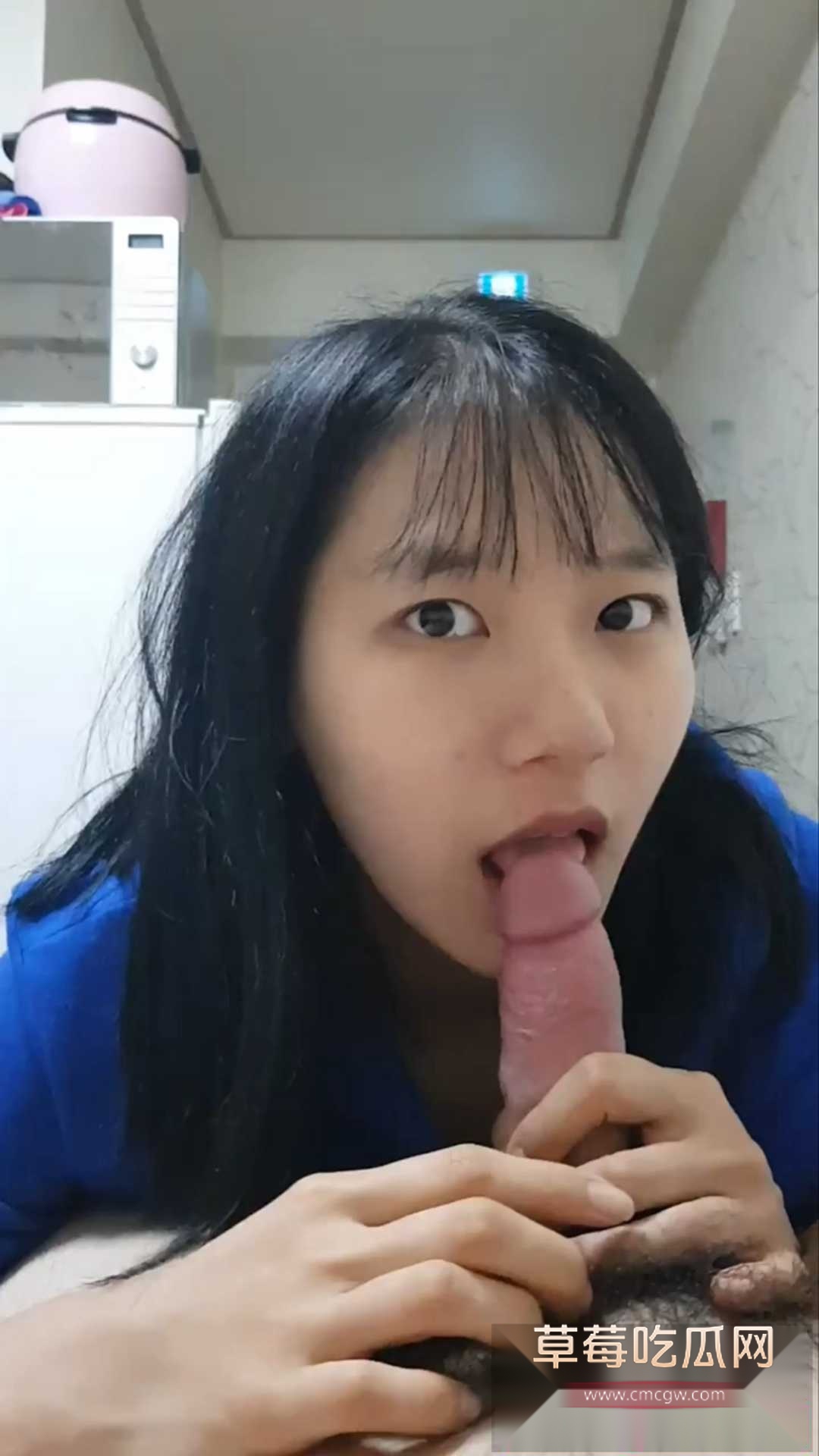 神似抖音龙龙历险记女主王婕 1