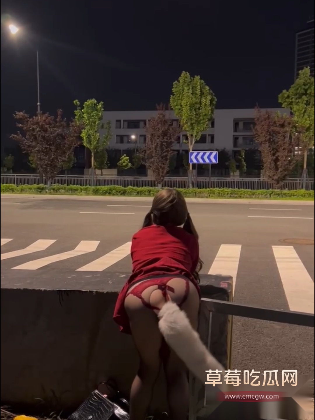 推特极品身材福利姬 肥嘟嘟右卫门 3
