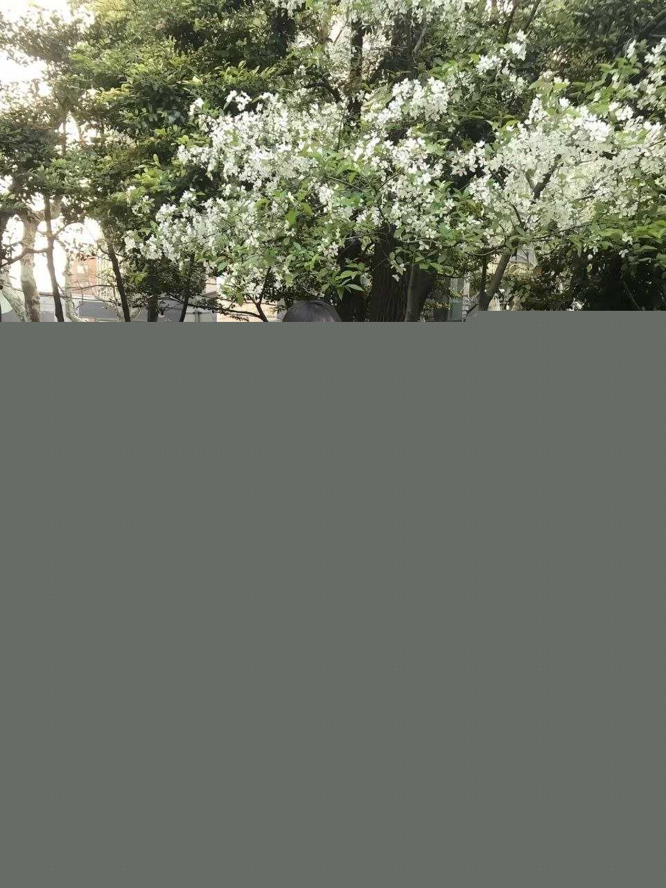 上海富二代大哥包养中日混血妹子 14 上海富二代大哥包养中日混血妹子 14