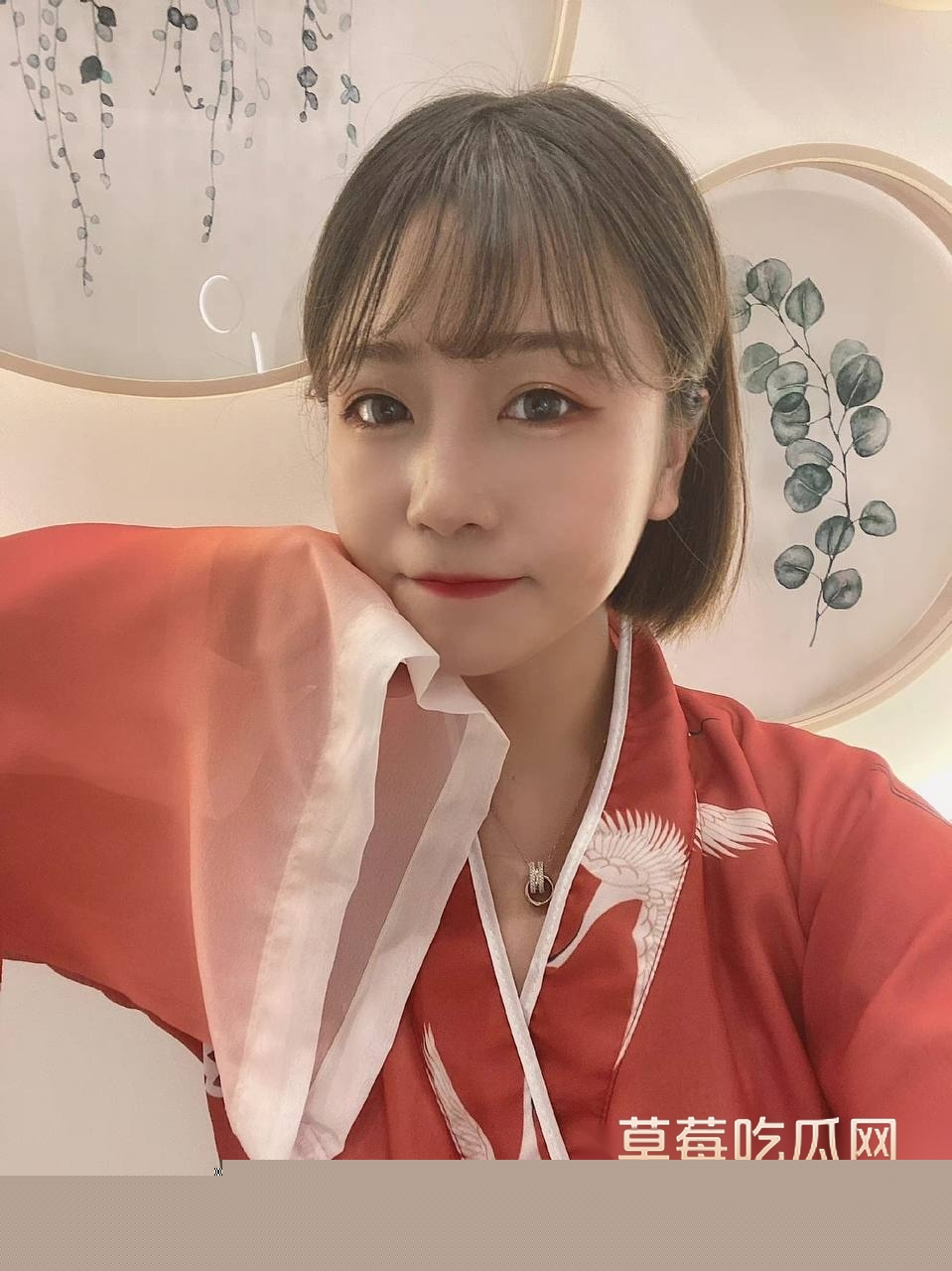 山东邹城马晨阳 17 山东邹城马晨阳 17
