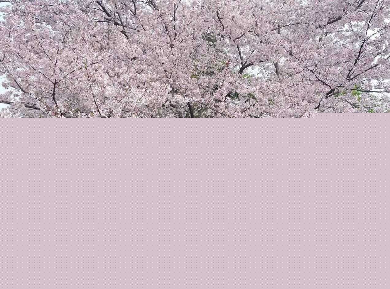 顶级约炮大神深圳第一深情Gdsqx精彩作品2 顶级约炮大神深圳第一深情Gdsqx精彩作品2